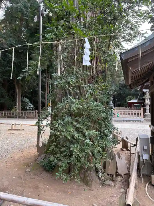 鹿島神宮(茨城県)