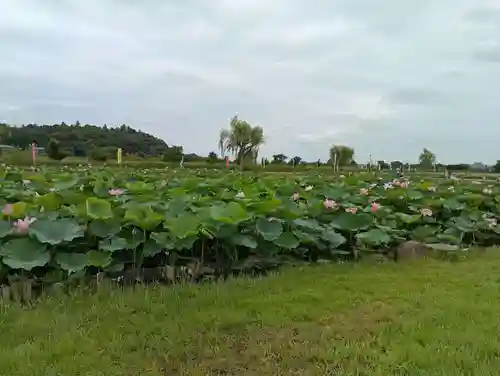 蛟蝄神社門の宮(茨城県)