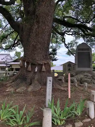 白峰宮の自然