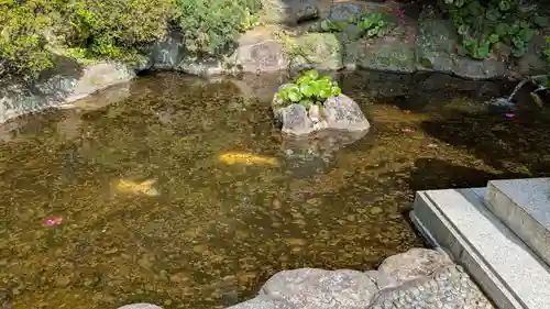 大浦天主堂の動物