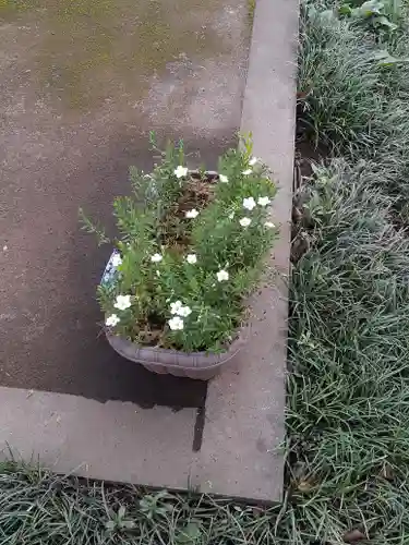 伏木香取神社(茨城県)