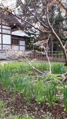 新琴似神社の庭園