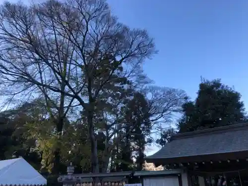 伊和志津神社のその他建物