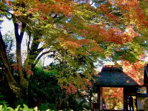 安楽寺(京都府)