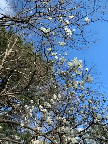 妻沼聖天山歓喜院の自然