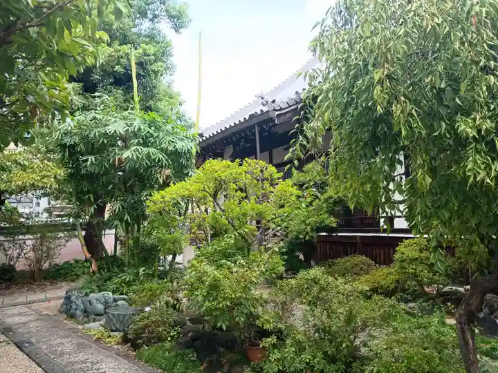 浄國寺(浄国寺)(大阪府)