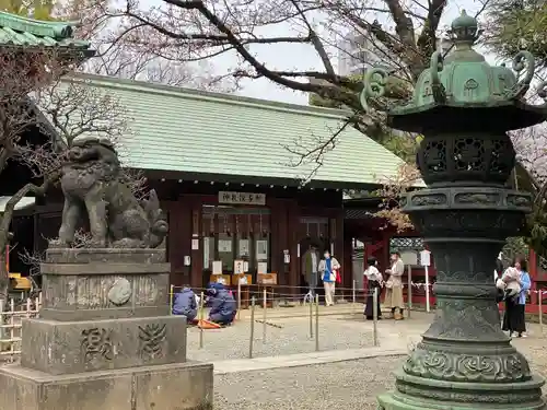 根津神社の狛犬