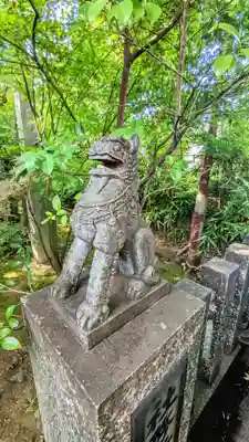須賀神社の狛犬