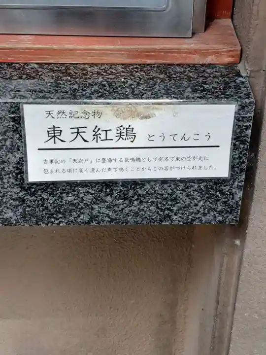 大甕神社(茨城県)