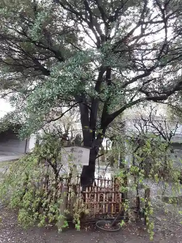 牛天神北野神社の庭園