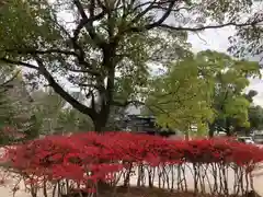 斑鳩寺の庭園