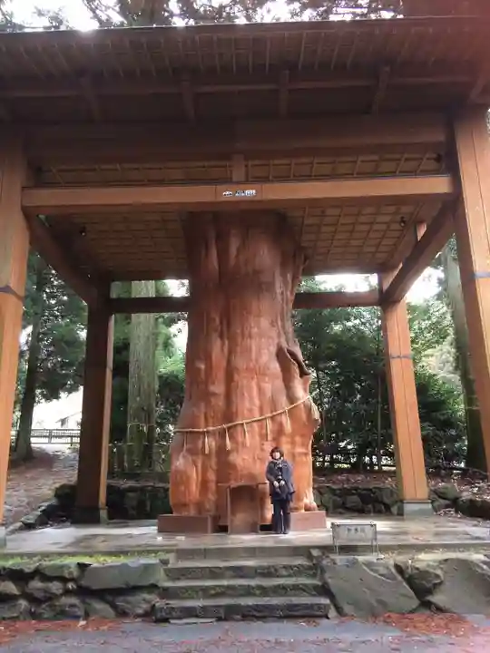 国造神社の自然