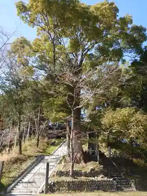 大井神社のその他建物