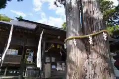 高司神社〜むすびの神の鎮まる社〜の本殿