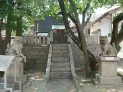 錦神社の狛犬