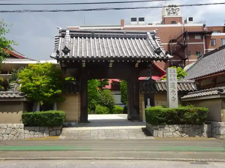 蓮光寺の山門・神門