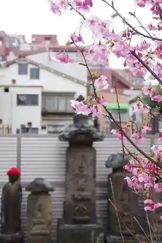 福王山  慈眼寺(東京都)