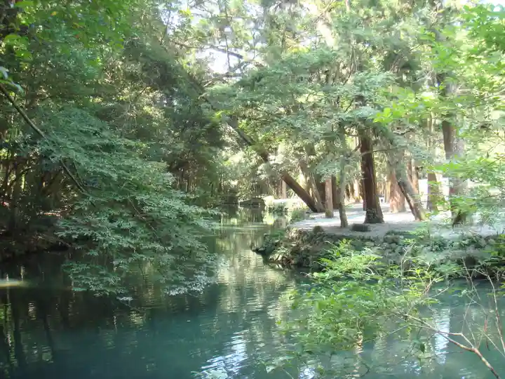伊勢神宮外宮(豊受大神宮)の自然