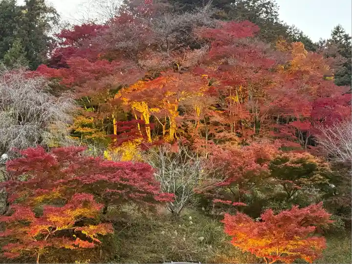 秩父御嶽神社(埼玉県)