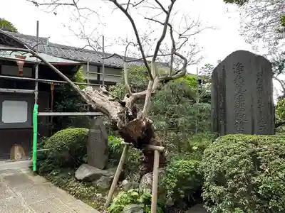 浄光院(千葉県)