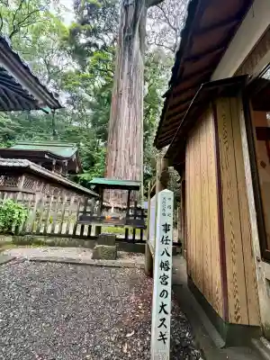 事任八幡宮(静岡県)