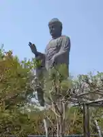 東本願寺本廟 牛久浄苑(牛久大仏)(茨城県)