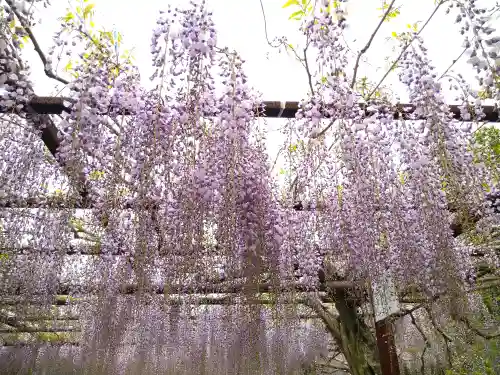 和氣神社（和気神社）の自然