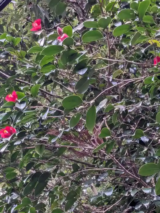 椿大神社(三重県)