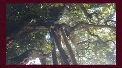 九重神社(埼玉県)