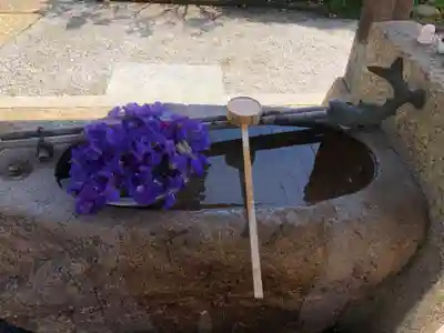 水堂須佐男神社の手水舎