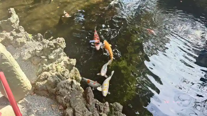 世田谷八幡宮(東京都)