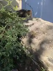 三輪神社の動物