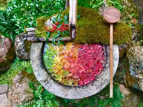 柳谷観音　楊谷寺の手水舎