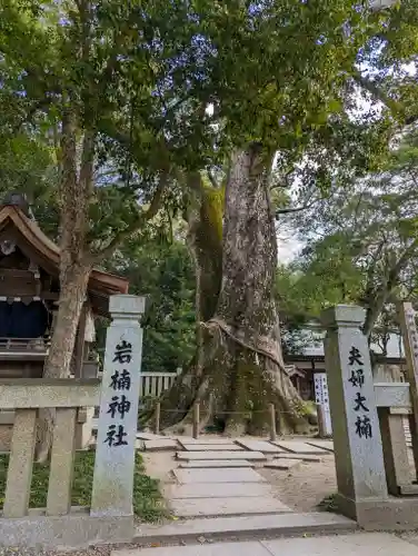伊弉諾神宮(兵庫県)