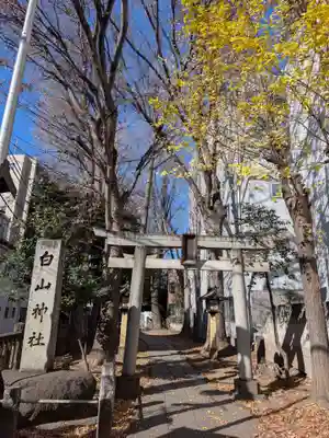 荻窪白山神社(東京都)