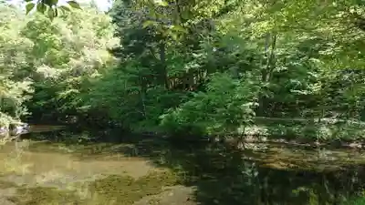 稲荷社（忍野八海　出口池）の自然