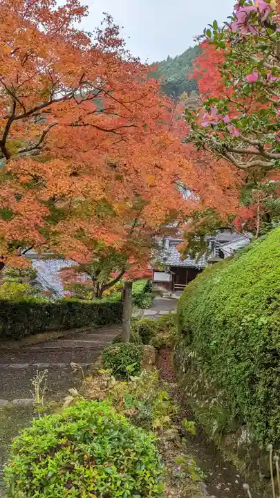 善峯寺(京都府)