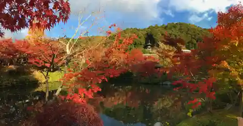 禅林寺（永観堂）の景色