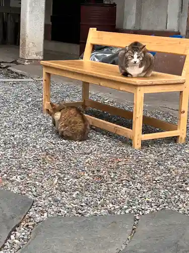 小野照崎神社(東京都)