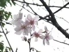 検見川神社の自然