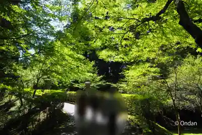 比叡山延暦寺(滋賀県)