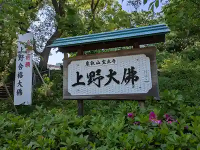 上野大佛(東京都)