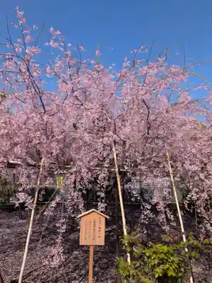 福蔵院(東京都)