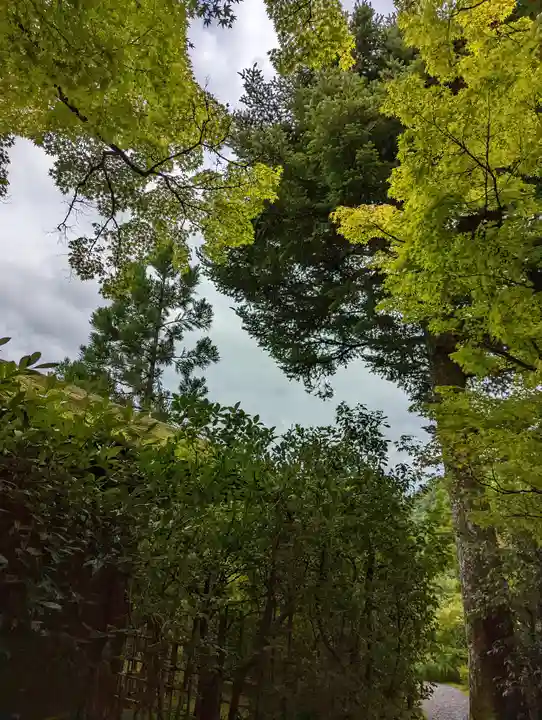 光悦寺(京都府)