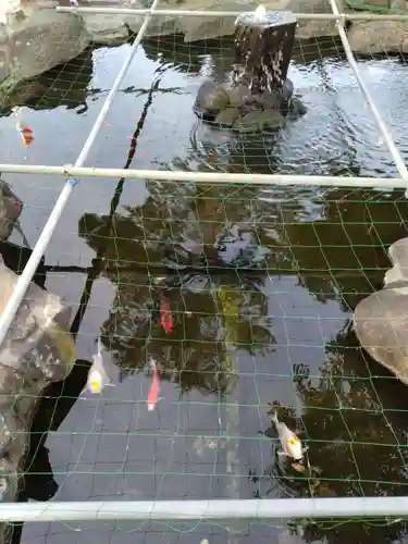 住吉神社(山梨県)