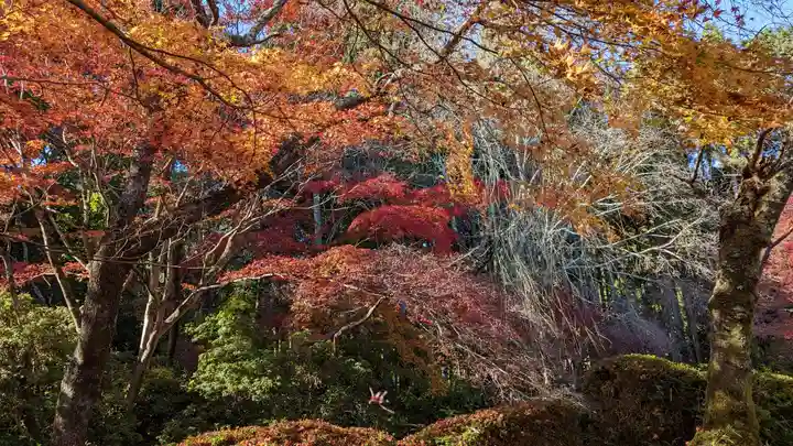 常照寺(京都府)
