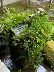 三千院門跡の手水