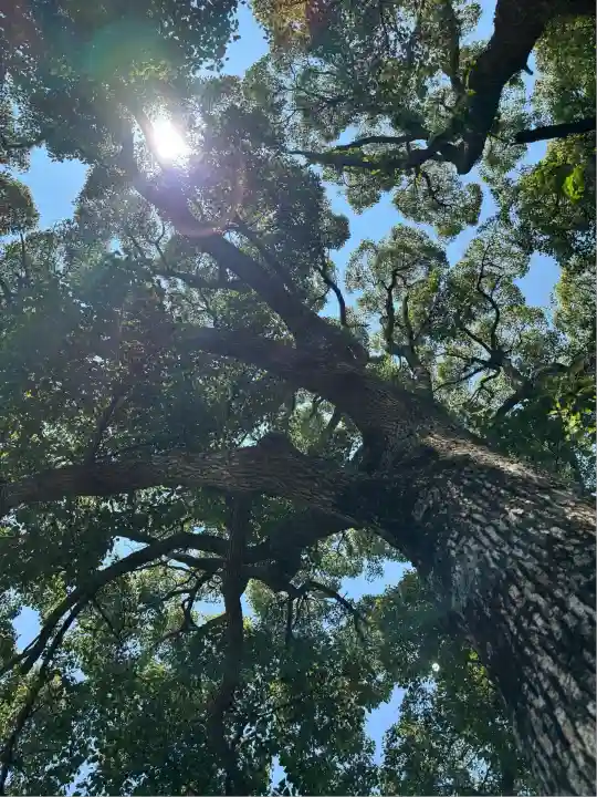 サムハラ神社 奥の宮(岡山県)
