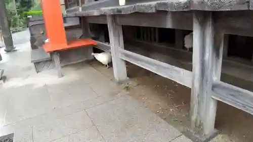 高屋敷稲荷神社の本殿・本堂