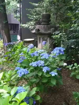 本郷氷川神社(東京都)